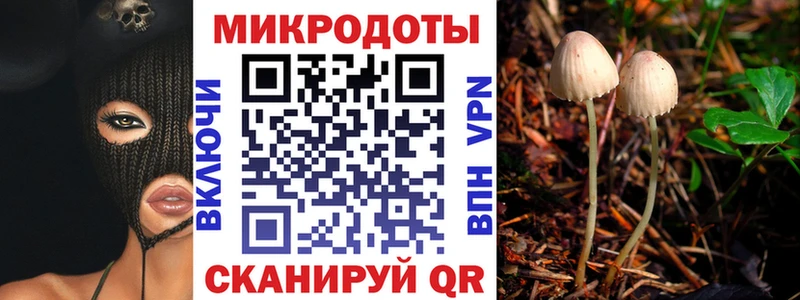 Галлюциногенные грибы мухоморы  Кирс 