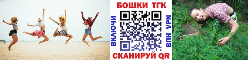 Конопля гибрид  Кирс 